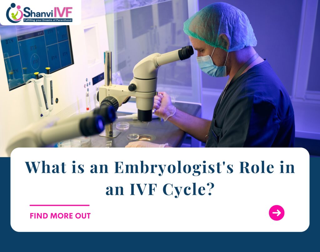 What is an Embryologist’s Role in an IVF Cycle?