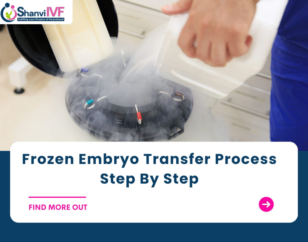 Frozen Embryo Transfer Process Step By Step