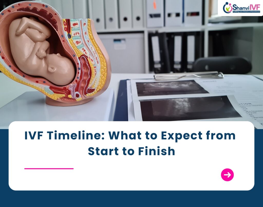 IVF Timeline: What to Expect from Start to Finish