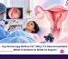 Hysteroscopy Before IVF_ Why It’s Recommended, What It Detects & What to Expect